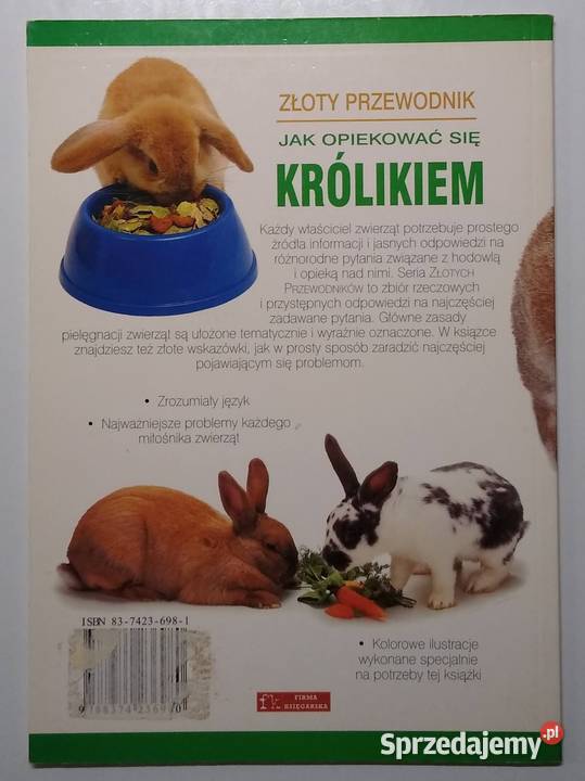 opiekować się królikiem Amanda ONeill Gdańsk