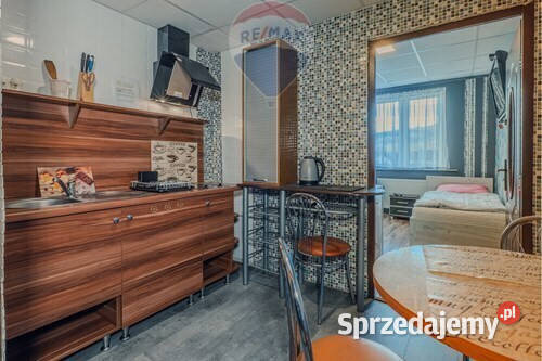 Pensjonat w Buczkowicach 6 apartamentów wolnostojący Sprzedaż Buczkowice