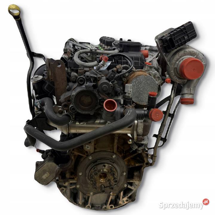 SILNIK DRFB Ford Transit VII MK7 22 TDCI 100 Chełm