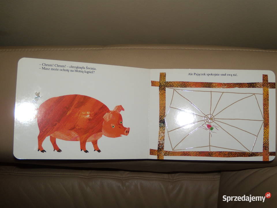 Pajączek Eric Carle Warszawa