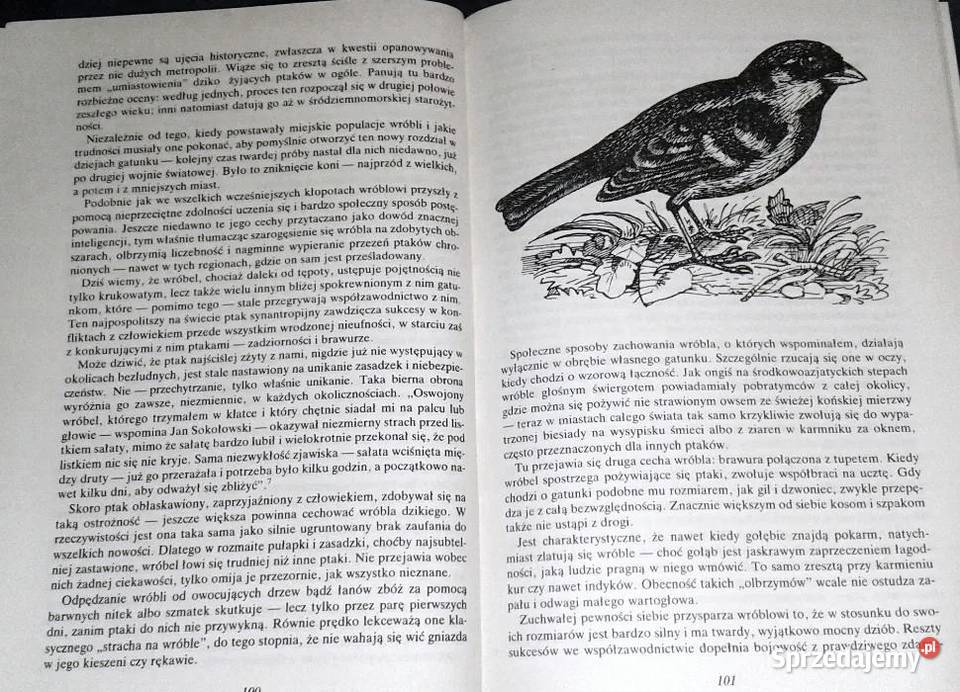 Zwierzęta zwierzęta Andrzej Trepka Chełm