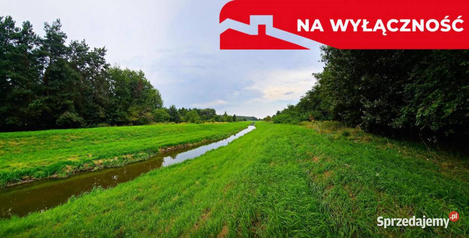 Łąki kanale częściowo pod wydobycie torfu Dąbrowa