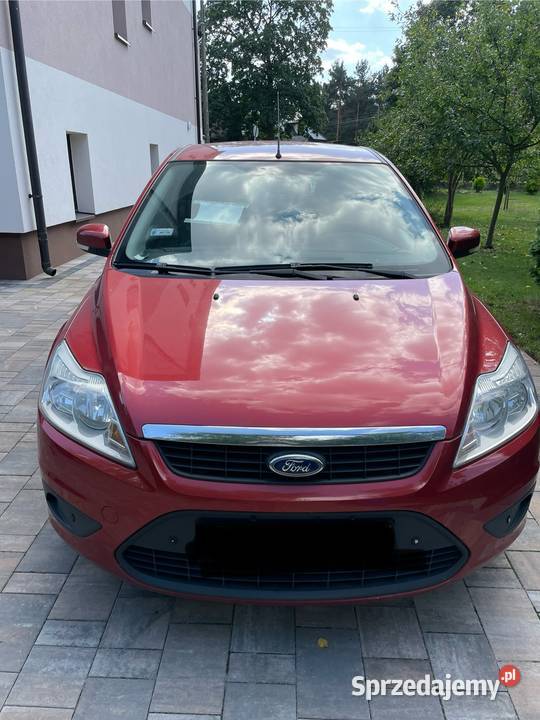Ford Focus Hatchback 2010 nieuszkodzony