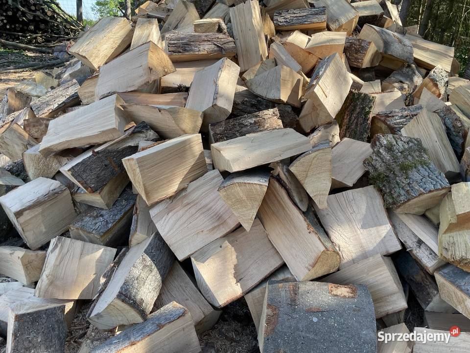 Drewno Buk brzoza olcha sosna zachodniopomorskie Stargard