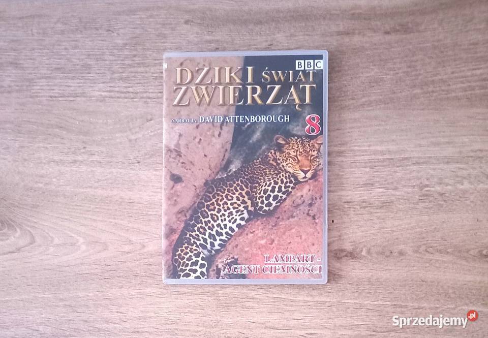 Edukacja Lew Orka i inne seria BBC Dziki świat Kraków