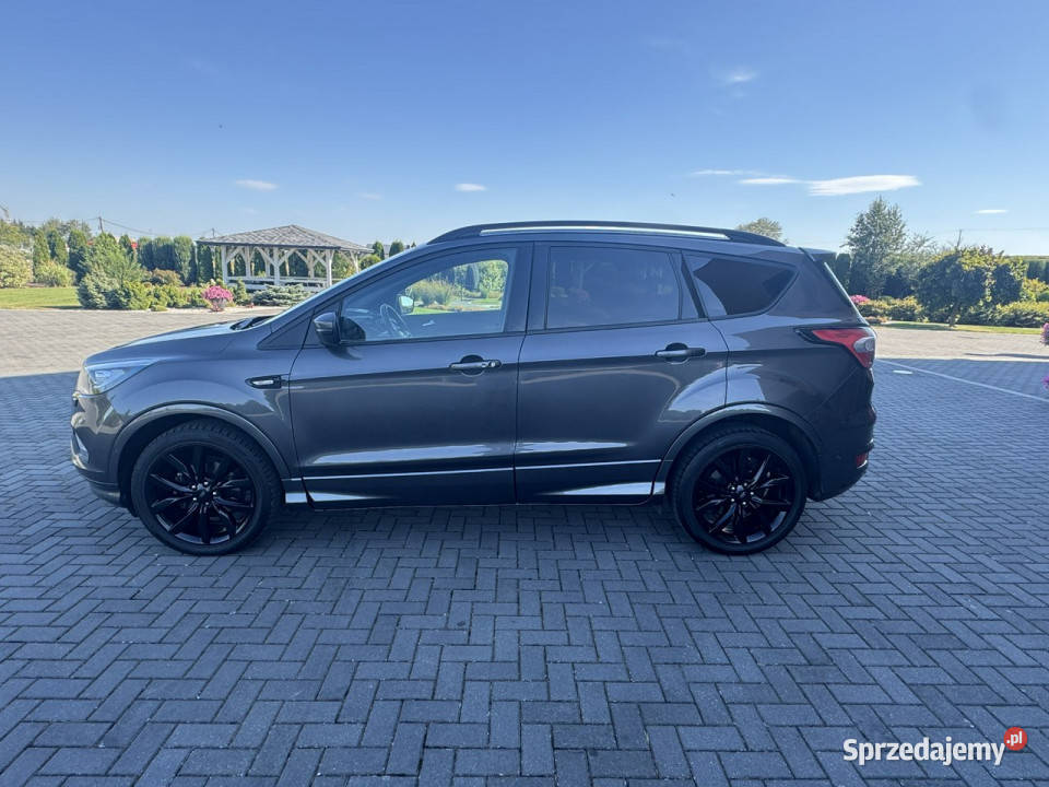 Ford Kuga STLINEKSENONLEDYREJ GPS KameraPanorama kurtyny powietrzne Motoryzacja Modliborzyce sprzedam