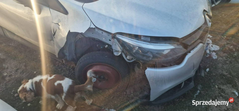 Renault Captur 15 dci 150tyskm I 20132019 sprzedam