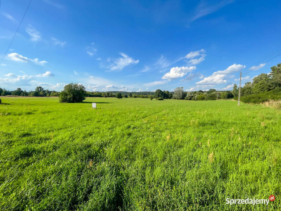Działka budowalna z WZ 105ha Michałów utwardzona
