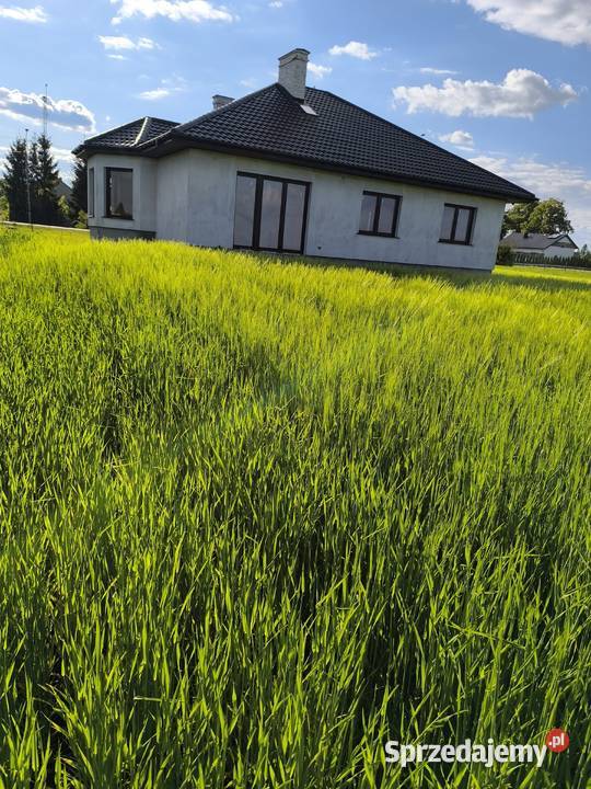 Dom w stanie deweloperskim Kąkolewnica Wschodnia