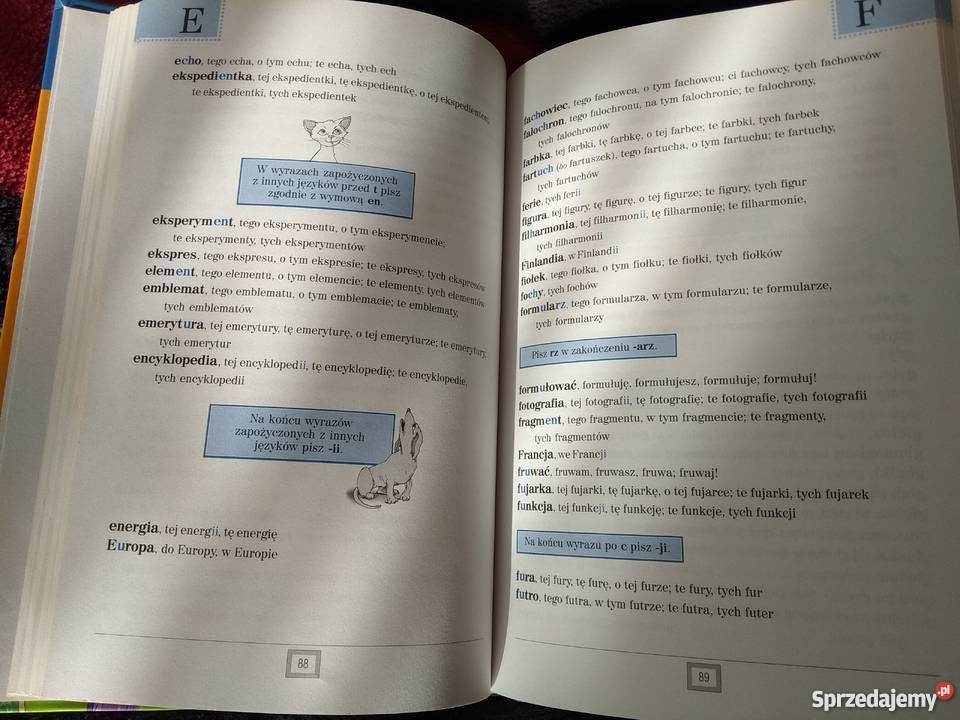 Szkolny słownik ortograficzny klas IIII Dyktanda Pozostałe Przedbórz