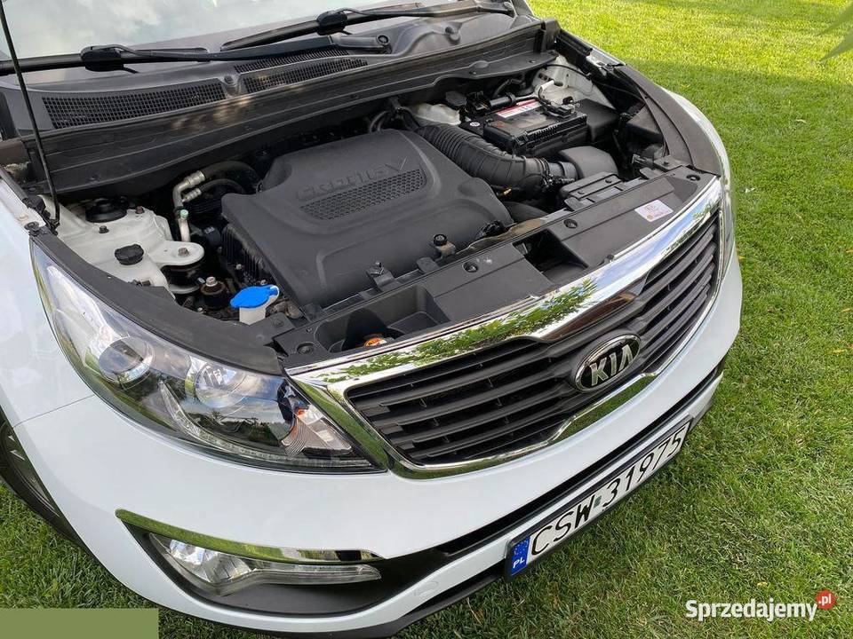 Kia Sportage 20 CRDI 4WD DreamTeam Edition 136 nieuszkodzony kujawsko-pomorskie Dragacz