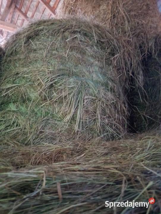 Sprzedam siano słome Kaszuby
