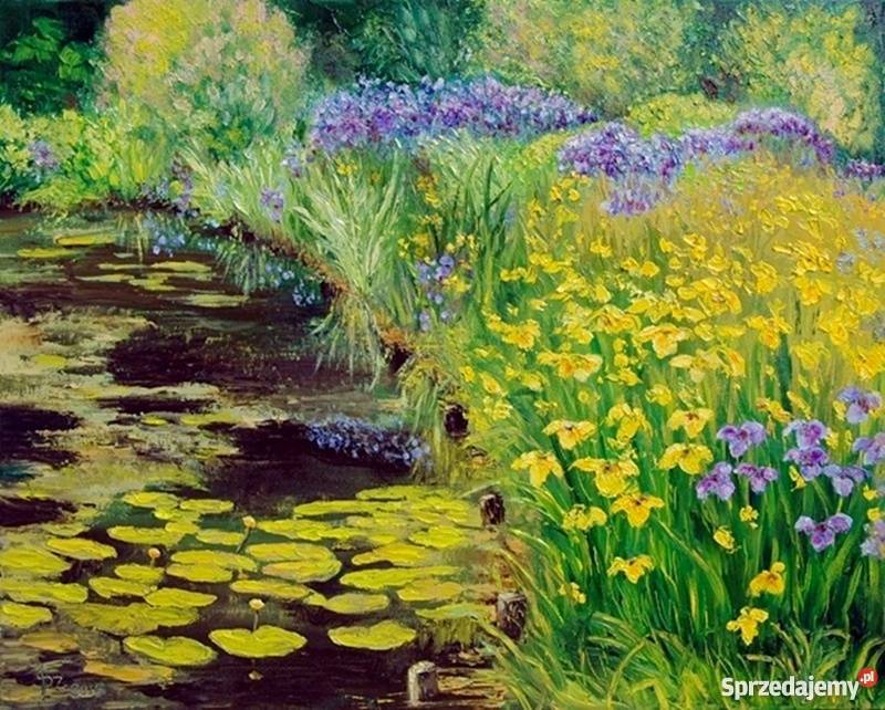 Obraz olejny Irysy wodą Lublin