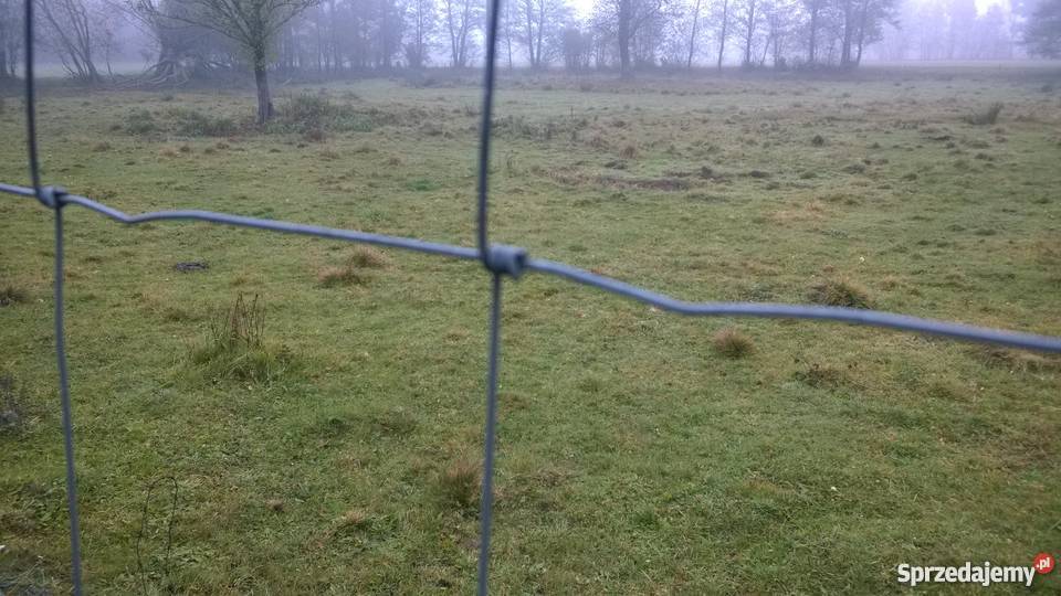 Siatka leśna 1802415L Drut 20mm Ostrołęka