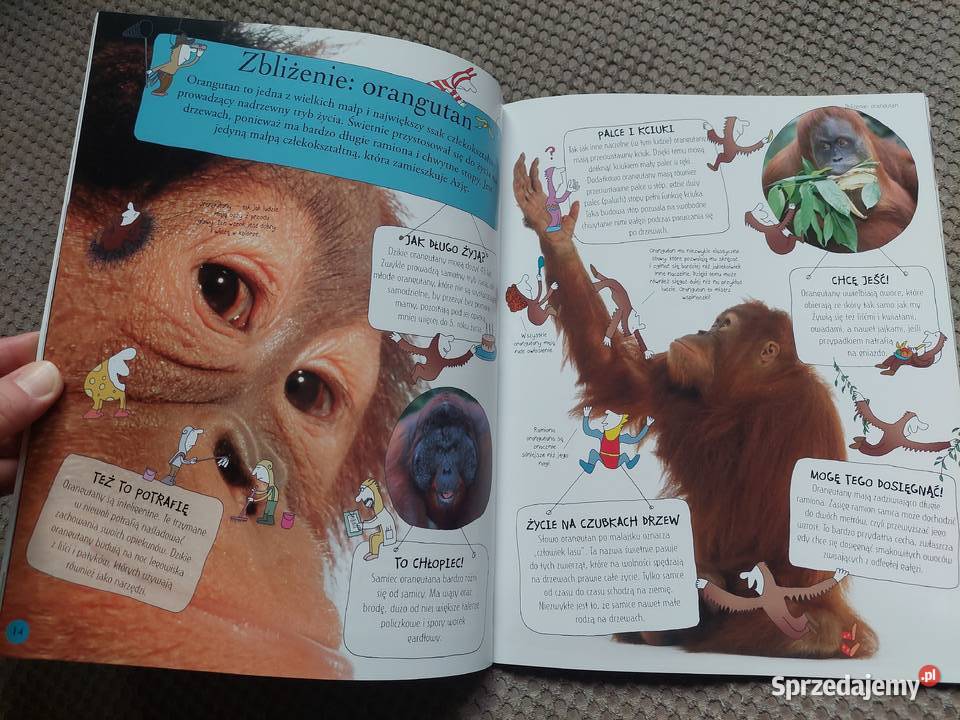 National Geographic Małe Mózgofalki poznają ISBN 9788375961348