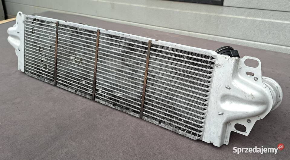 Intercooler chłodnica powietrza VW Transporter Mielęcin
