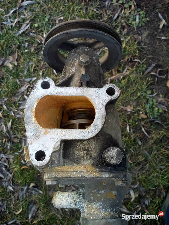 Wszystkie części do Seicento 09 benzyna osobowe Chełm