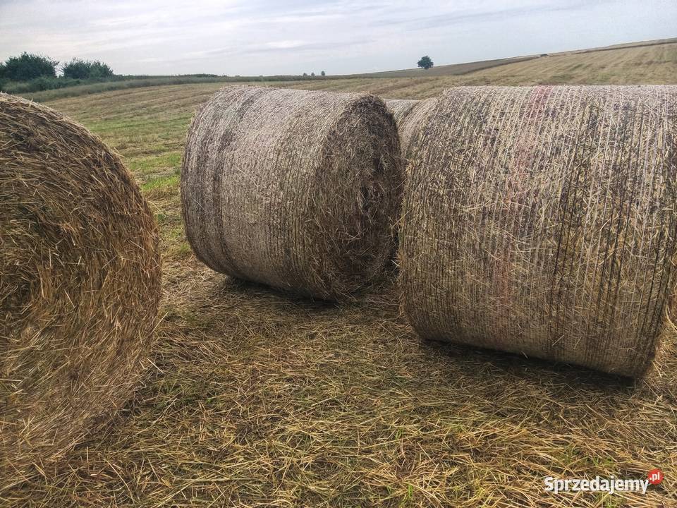 Siano bele 160 nowe z tego roku transport Pozostałe sprzedam