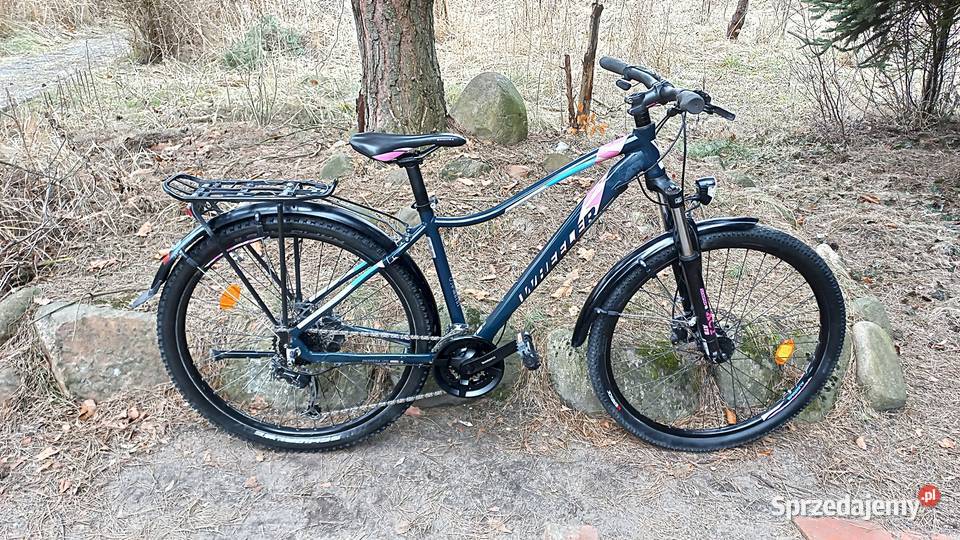 Alu Rower Górski Damski Wheeler Passera Atb 3x8 Wołów