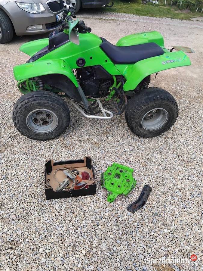 Quad Kawasaki Ksf Kfx 250 Konina