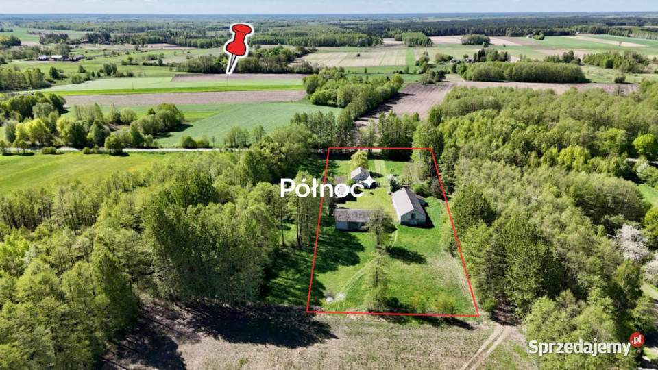 Siedlisko w Dańcach dom o pow 100m2 pustak lubelskie Dańce sprzedam