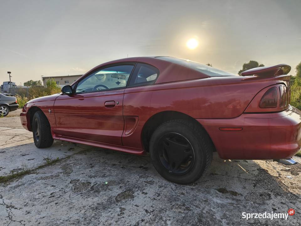 Ford Mustang sn95 38 V6 Manual Września sprzedam