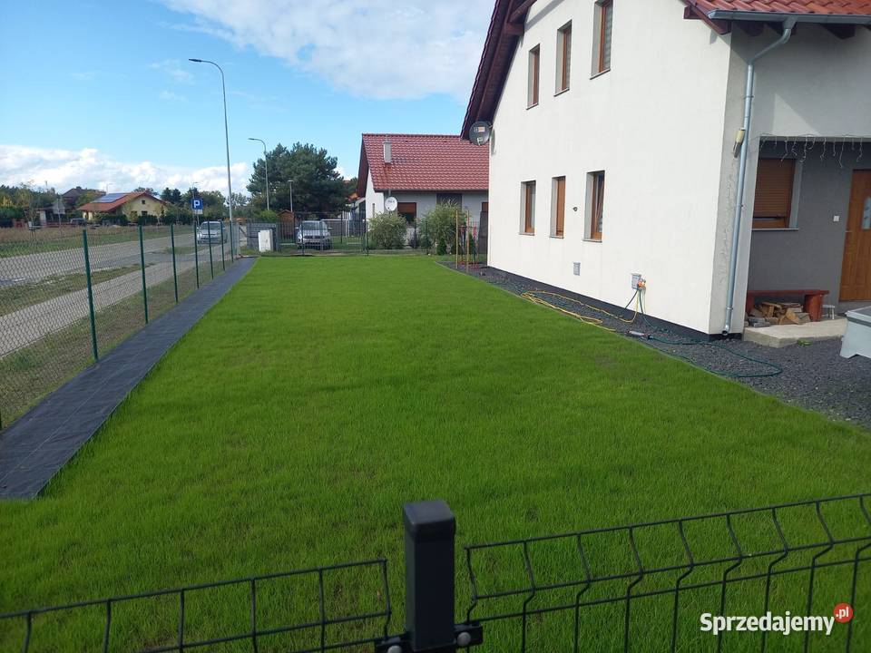 Usługi glebogryzarką separacyjną zakładanie Projektowanie i zakładanie ogrodów ogród
