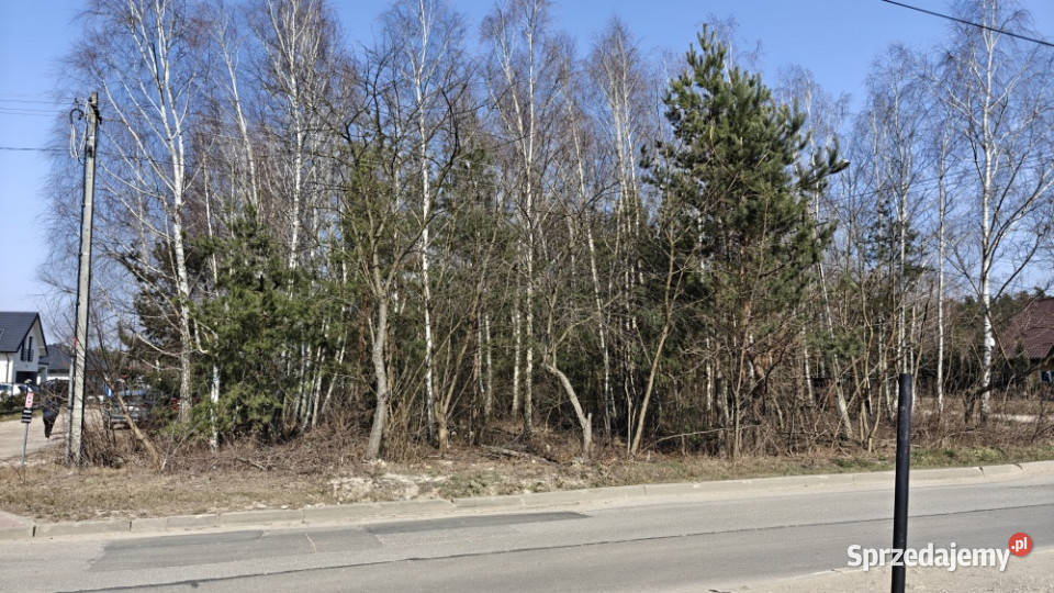 OGŁOSZENIE BEZPOŚREDNIE BEZ PROWIZJI Stefanowo