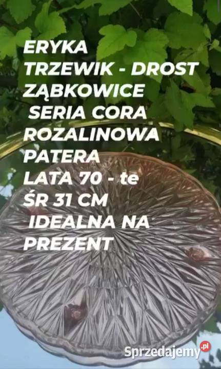 ERYKA TRZEWIK DROST HSG ZĄBKOWICE
ROZALINOWA Pabianice