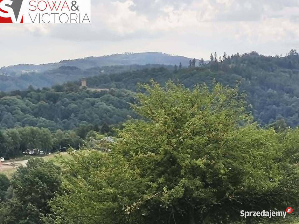 Panoramiczny widok na szczyty gór ok 1 PKP budowlana dolnośląskie Zagórze Śląskie