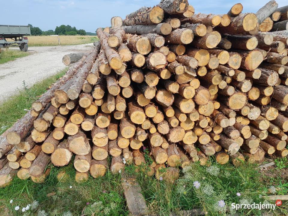Steple budowlane 3m Radomice