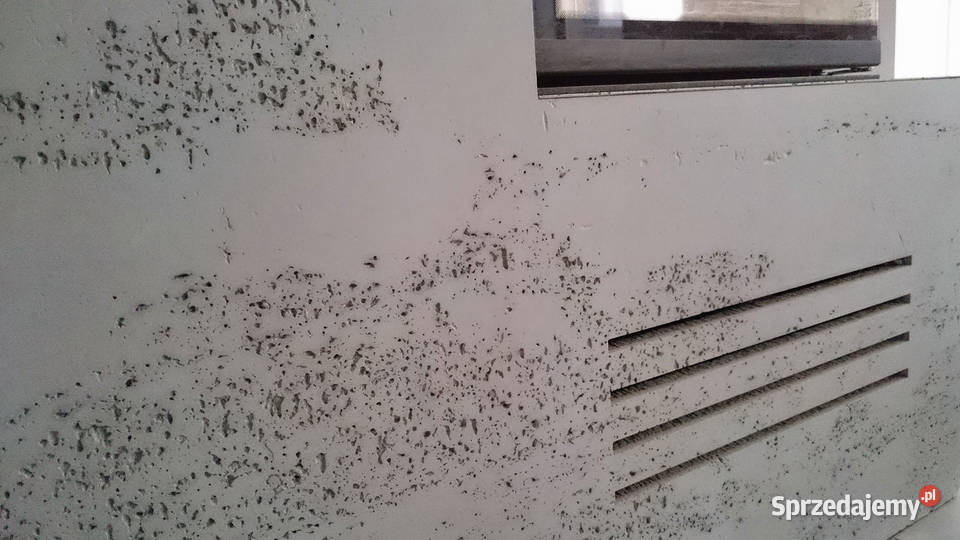 Beton architektoniczny Płyty z betonu na ściany Dom i Ogród Kraków