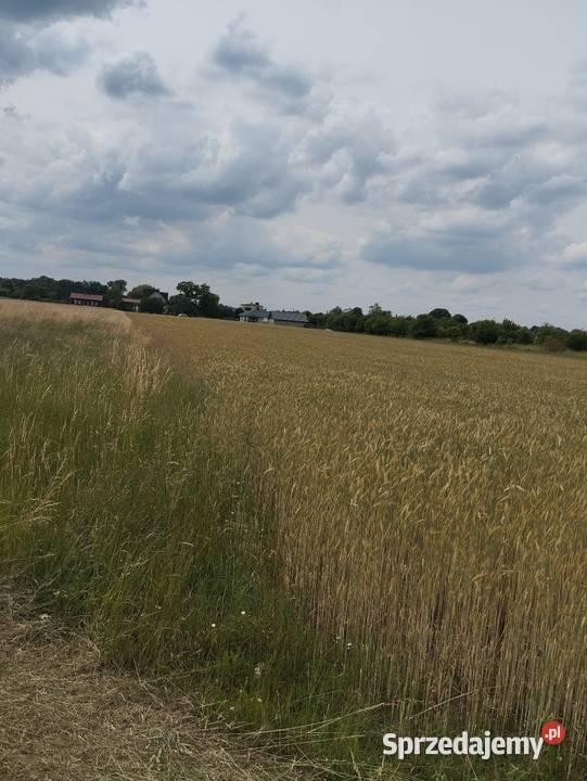 Działka rolno budowlana PIOTRKÓW TRYBUNALSKI 0zł/m2 Piotrków Trybunalski