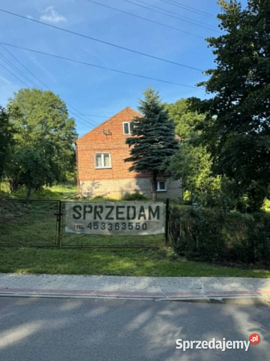Dom w Trzcianie 7900m2 Trzciana sprzedam