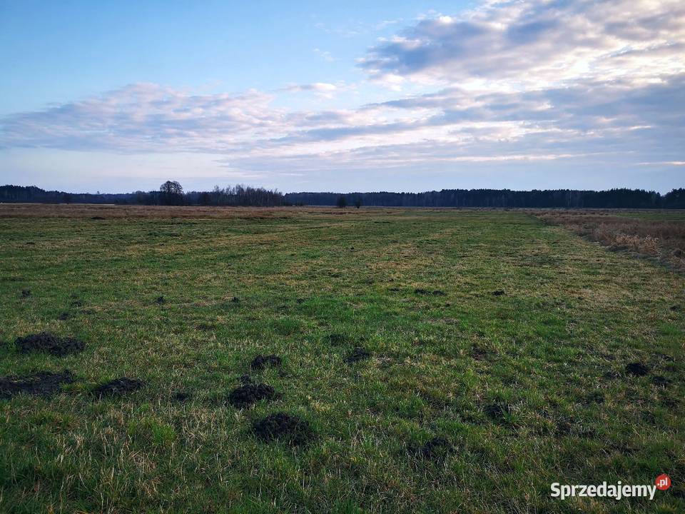 działka w miejscowości Lesisko 4172m2