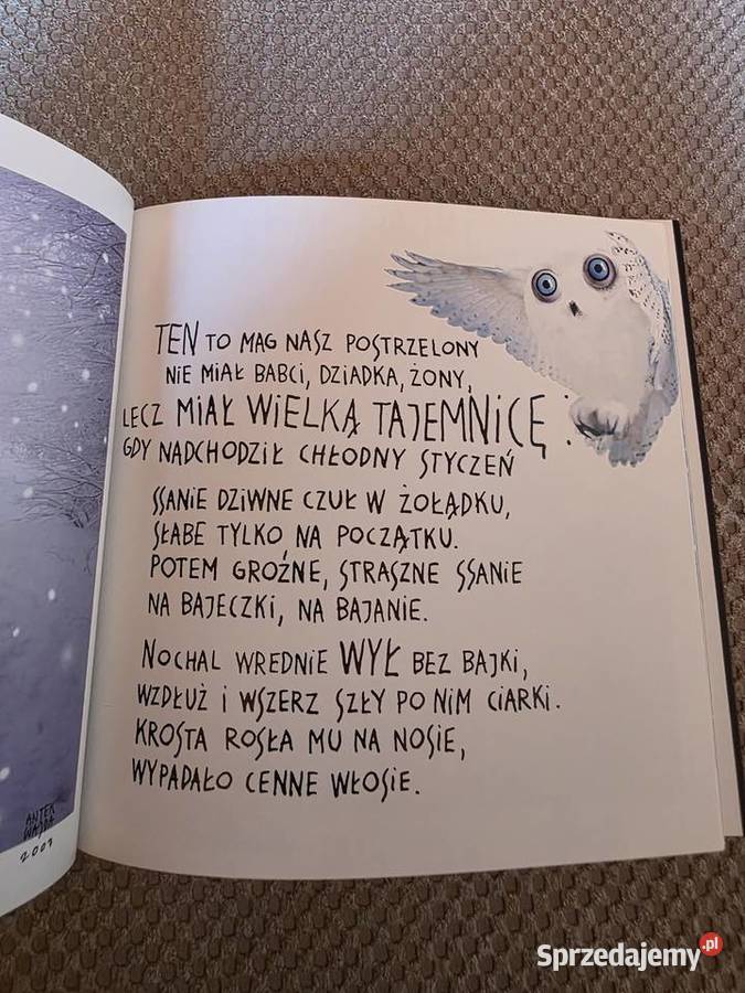 Nochal Czarodziej Agnieszka WolnyHamkało Antek Kraków