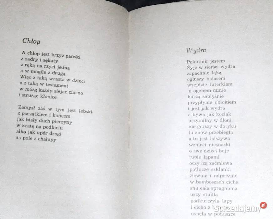 Słowo i gest Wiersze i przekłady Eugeniusz Chełm sprzedam