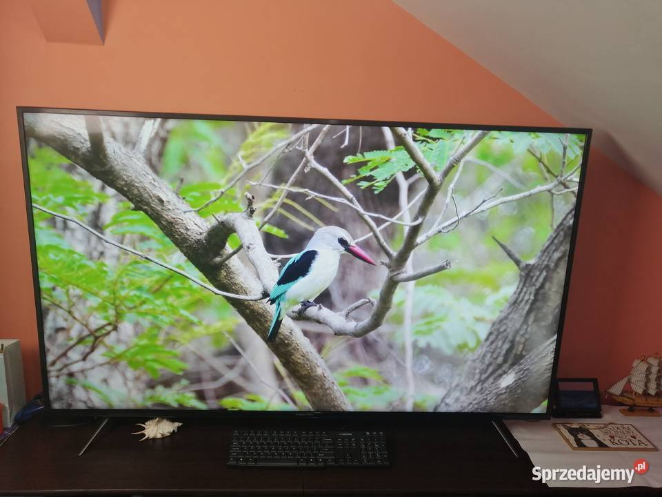 Telewizor TV Kruger Matz 0265UHDS 65 Telewizory łódzkie Inczew