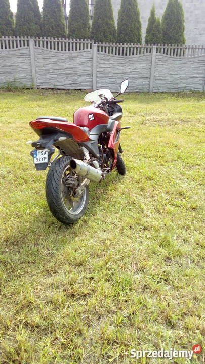 Leone rk 12550 łańcuch Święcica sprzedam