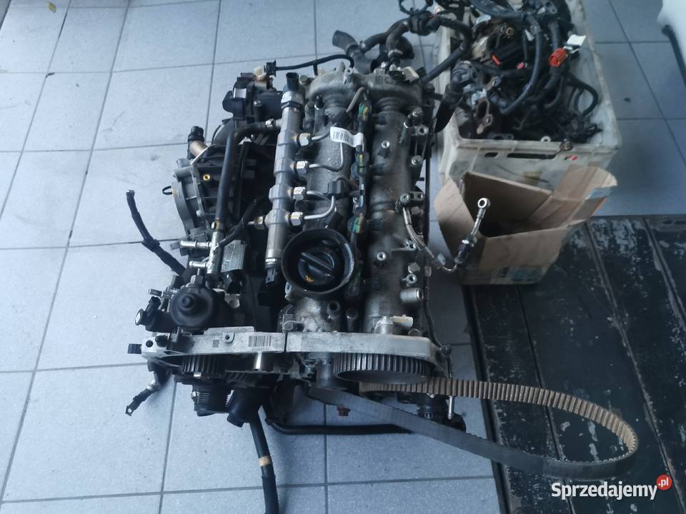 Silnik Alfa Romeo Stelvio 22 zachodniopomorskie Złocieniec