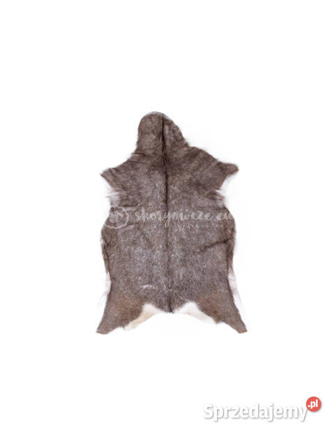 Skóra z kozy kozia skóra kozia skóra dekoracyjna Skóry Dywany i dywaniki Szaflary