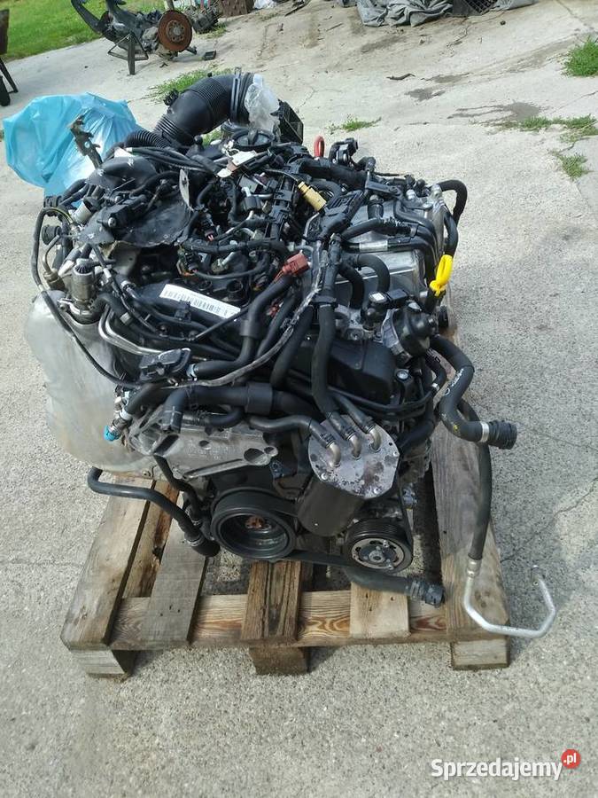 silnik DFEA Touran 20 TDI Dębno