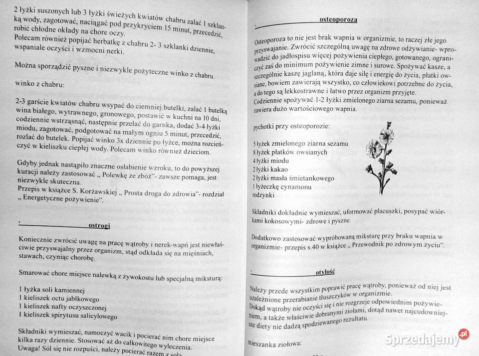Zdrowie na co dzień Stefania Korżawska Rok wydania 2011 Chełm