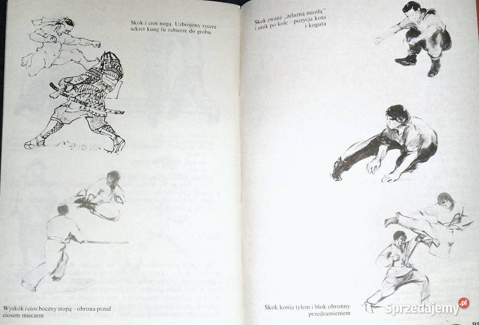 Moc Erniego Stanisław Tokarski miękka Pozostałe Chełm