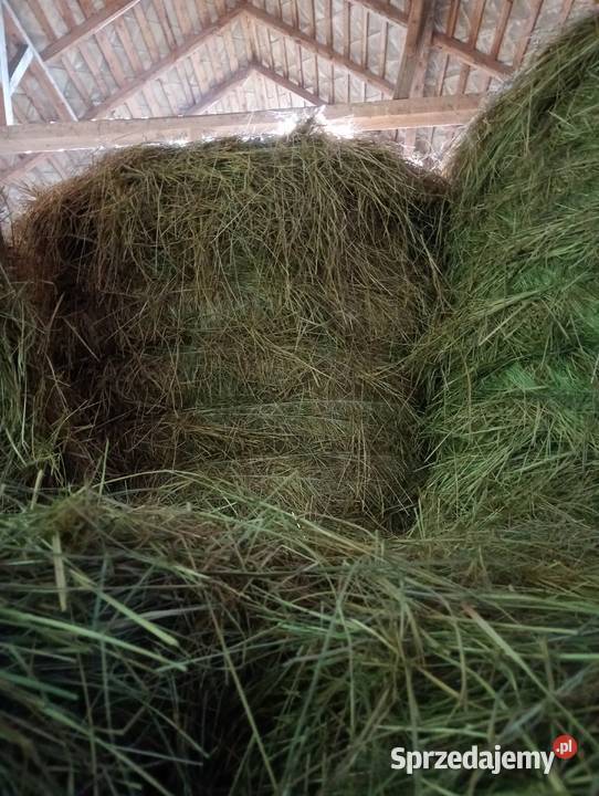 Sprzedam siano słome Produkcja roślinna