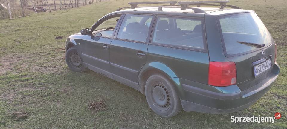 Pastuch 18 gas Szczytno sprzedam