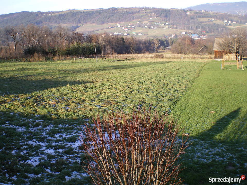 DZIAŁKA 16ar LipoweLIMANOWA małopolskie Limanowa