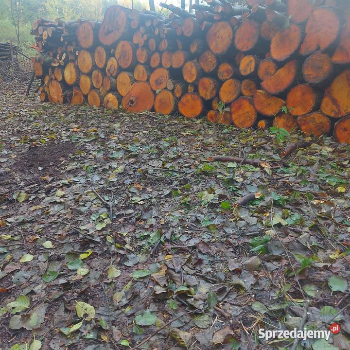 Olcha Kominkowe opalowe do wędzenia Legnica sprzedam