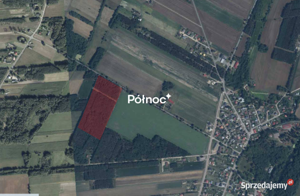 Działka leśna 447 Ha w Elżbiecinie gmina Kodeń lubelskie Elżbiecin sprzedam