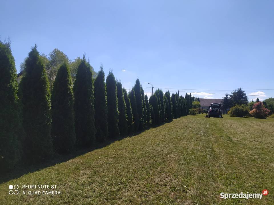działka Dębe Małe gmLatowicz Sprzedaż